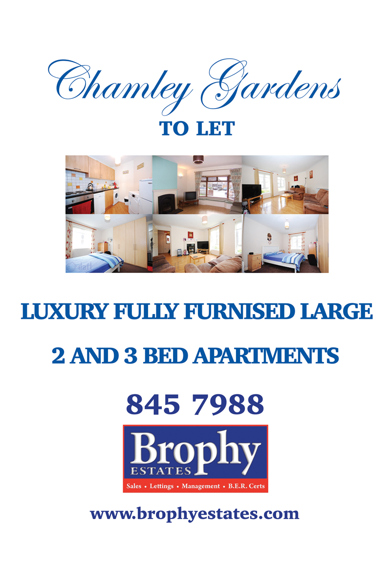 Poster Design by Einder for this project | Design #6526770