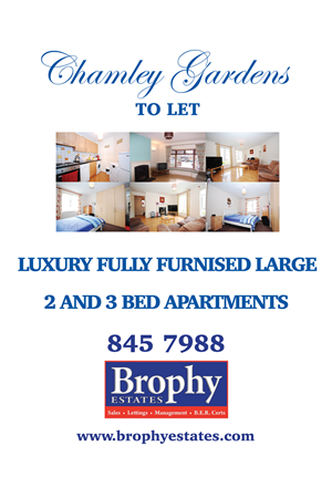 Poster Design by Einder for this project | Design: #6526770