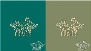 Logo Design by Asia