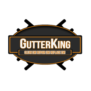 Logo Design by KamiiFX