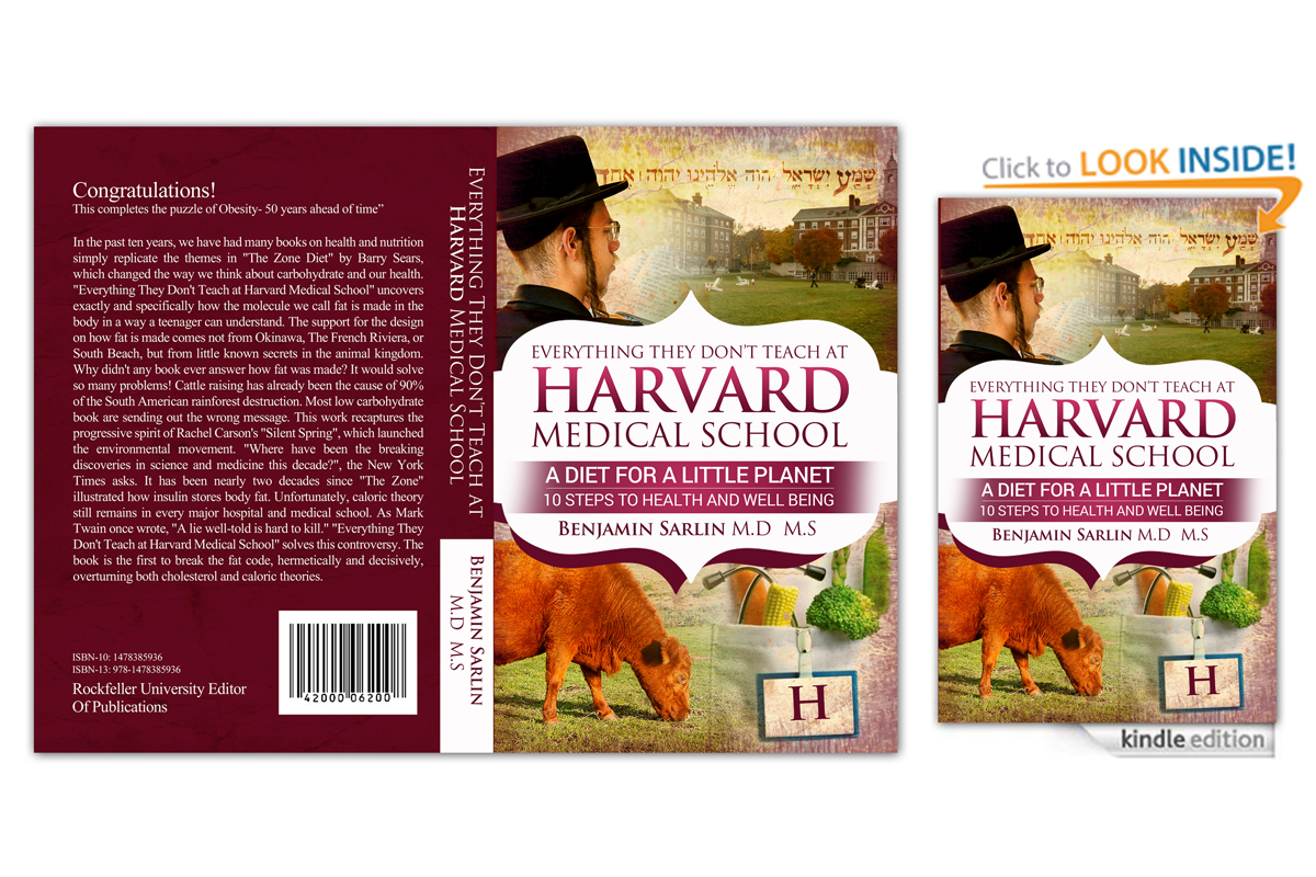 Book Cover Design by NatPearlDesigns for this project | Design #6616710