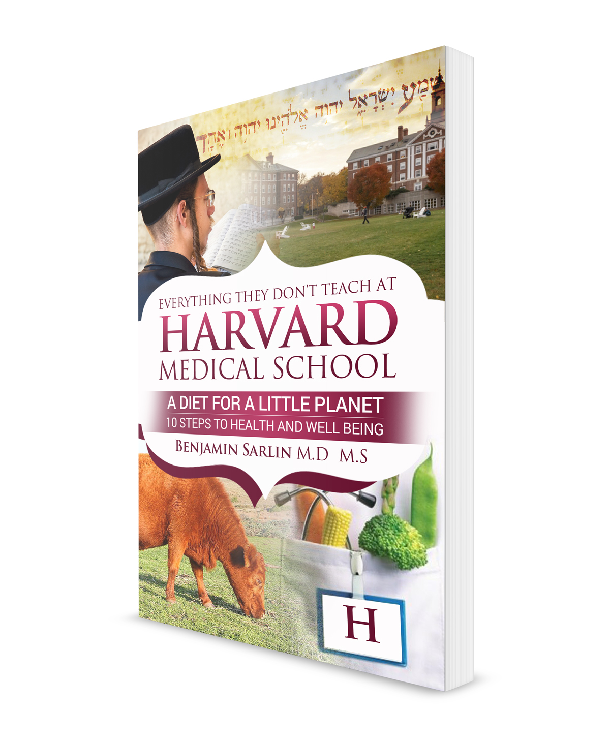 Book Cover Design by NatPearlDesigns for this project | Design #6616721