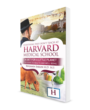 Book Cover Design by NatPearlDesigns for this project | Design: #6616721