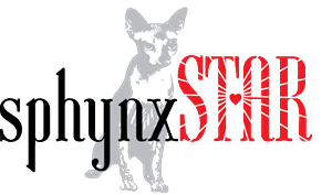 Logo Design by Susie Basso