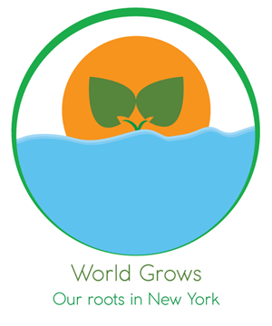 Logo Design by MSJS