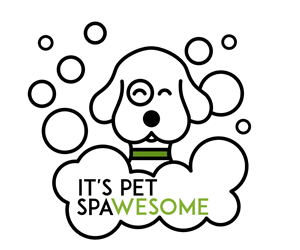 Logo Design by Hey Lex