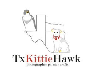 Logo Design by nanocb72