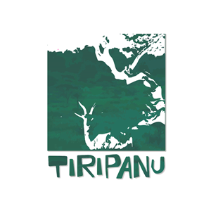 Logo Design by FinBar