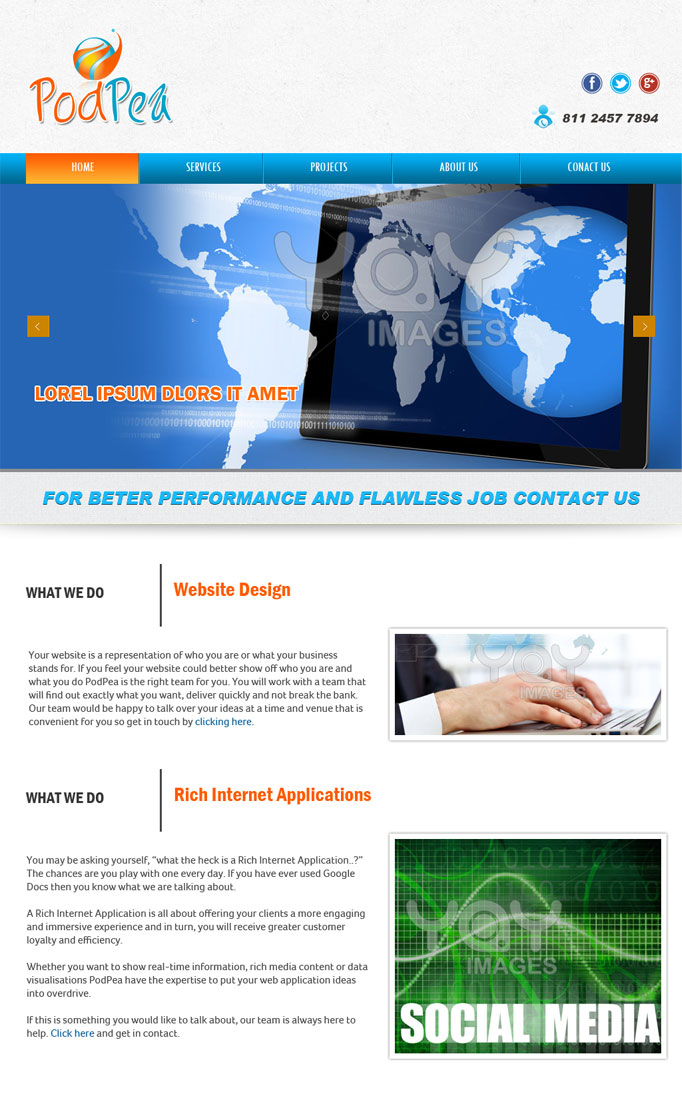 Web Design by Expert Designer for this project | Design #1741847