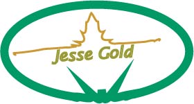 Logo Design by Khan93 for Jesse Gold Music | Design #6593476