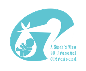Design de Logo par Guadalupe Reyes pour ce projet | Design #6527320