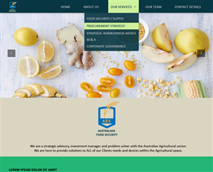 Web Design by Zamm