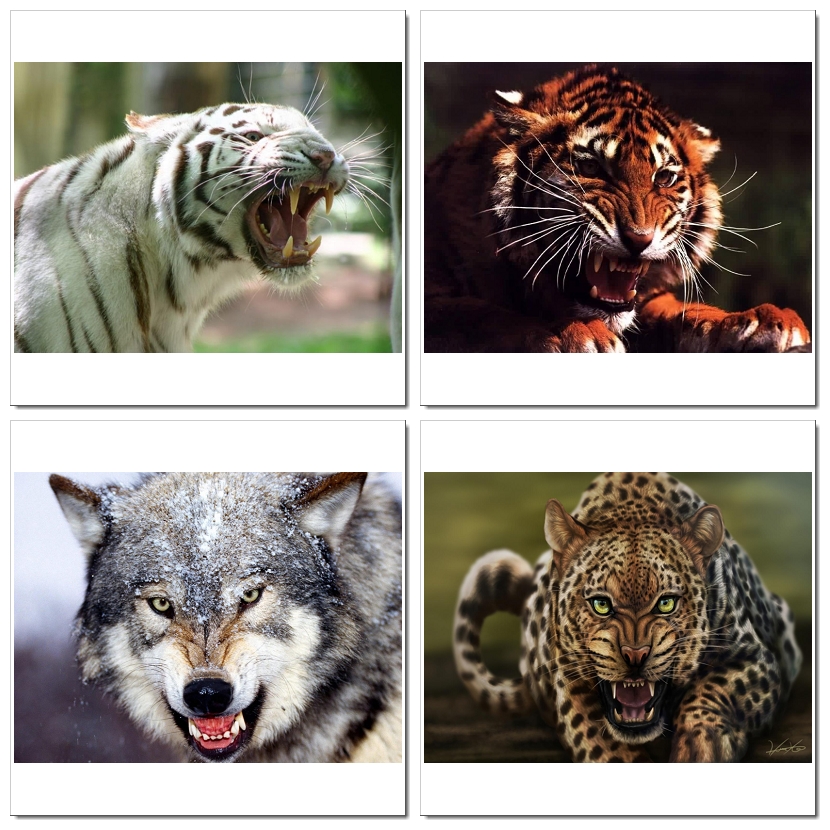 Photoshop Design by SeXtreme for VM Sistemi S.p.A. | Design #6529869