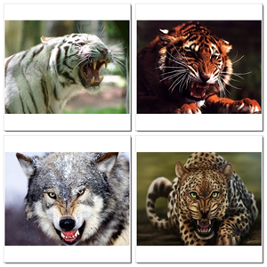 Photoshop Design by SeXtreme for VM Sistemi S.p.A. | Design: #6529869