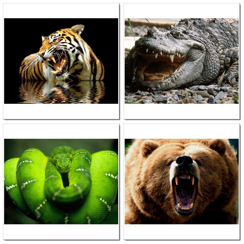 Photoshop Design by SeXtreme for VM Sistemi S.p.A. | Design #6529872