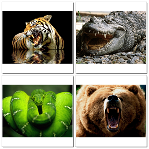 Photoshop Design by SeXtreme for VM Sistemi S.p.A. | Design: #6529872