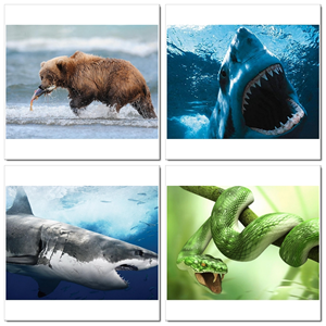 Photoshop Design by SeXtreme for VM Sistemi S.p.A. | Design: #6529876