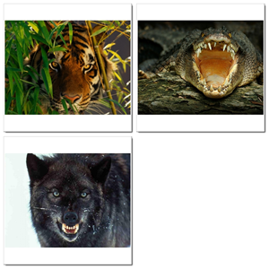 Photoshop Design by SeXtreme for VM Sistemi S.p.A. | Design: #6529882