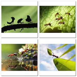 Photoshop Design by SeXtreme for VM Sistemi S.p.A. | Design: #6530312