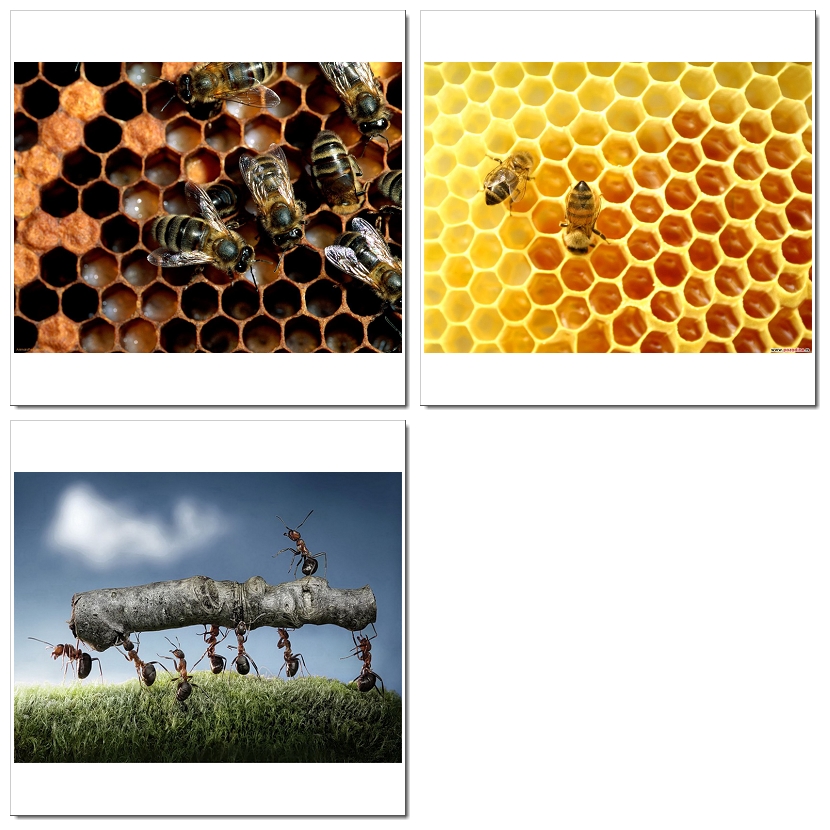 Photoshop Design by SeXtreme for VM Sistemi S.p.A. | Design #6530351