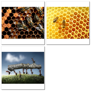 Photoshop Design by SeXtreme for VM Sistemi S.p.A. | Design: #6530351