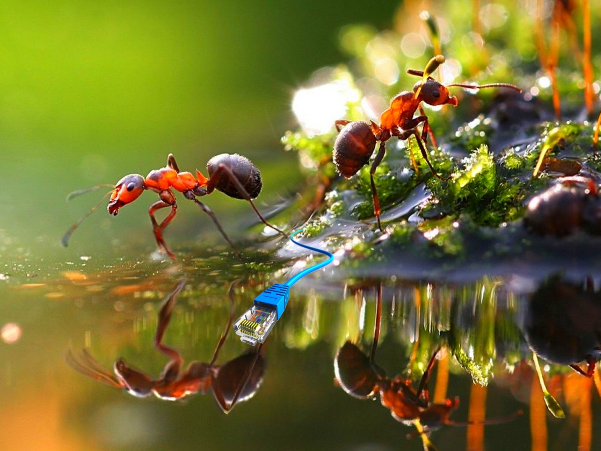 Photoshop Design by SeXtreme for VM Sistemi S.p.A. | Design #6530568