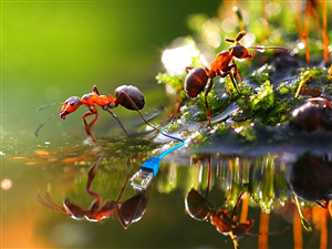 Photoshop Design by SeXtreme for VM Sistemi S.p.A. | Design: #6530568