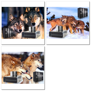 Photoshop Design by SeXtreme for VM Sistemi S.p.A. | Design: #6535754