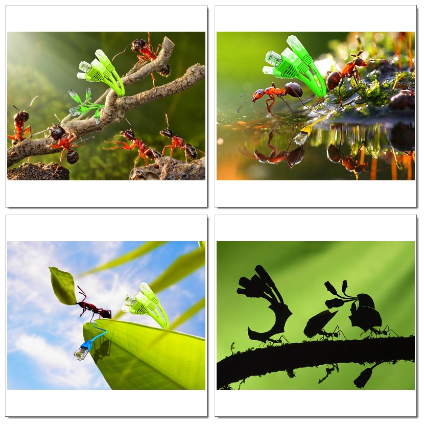 Photoshop Design by SeXtreme for VM Sistemi S.p.A. | Design #6535758