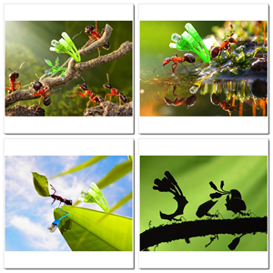 Photoshop Design by SeXtreme for VM Sistemi S.p.A. | Design: #6535758