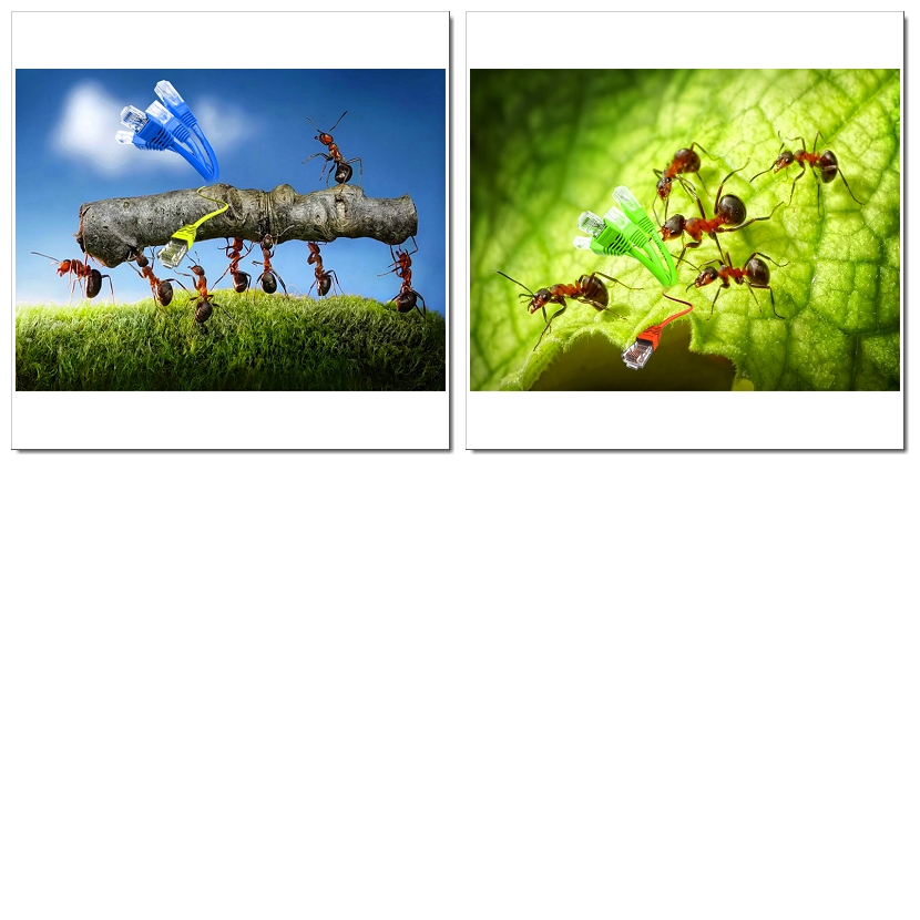 Photoshop Design by SeXtreme for VM Sistemi S.p.A. | Design #6535765