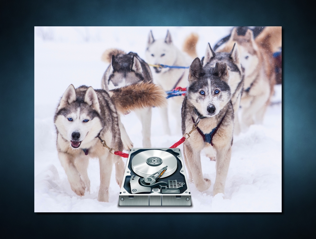 Photoshop Design by SeXtreme for VM Sistemi S.p.A. | Design #6542053