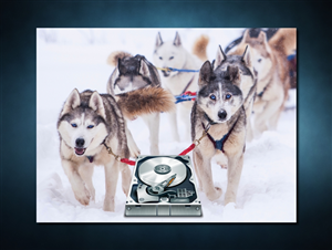 Photoshop Design by SeXtreme for VM Sistemi S.p.A. | Design: #6542053