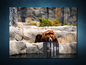 Photoshop Design by SeXtreme for VM Sistemi S.p.A. | Design: #6542438