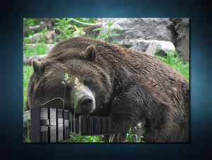 Photoshop Design by SeXtreme for VM Sistemi S.p.A. | Design: #6542441