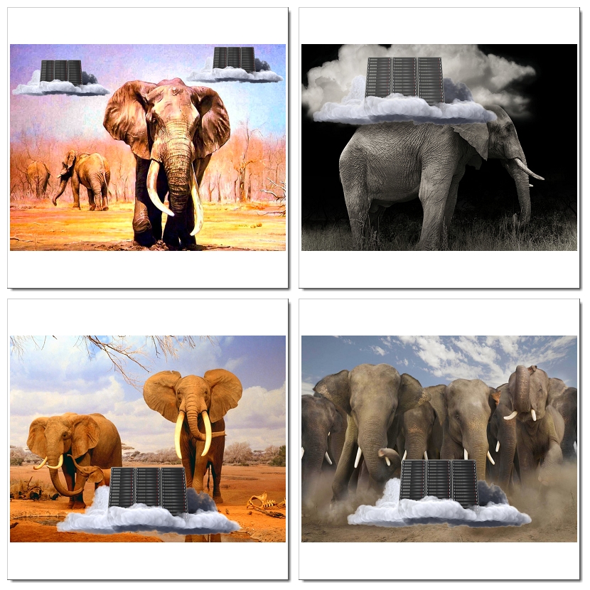 Photoshop Design by SeXtreme for VM Sistemi S.p.A. | Design #6543803