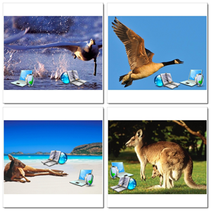 Photoshop Design by SeXtreme for VM Sistemi S.p.A. | Design: #6544343