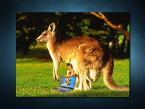 Photoshop Design by SeXtreme for VM Sistemi S.p.A. | Design: #6609109