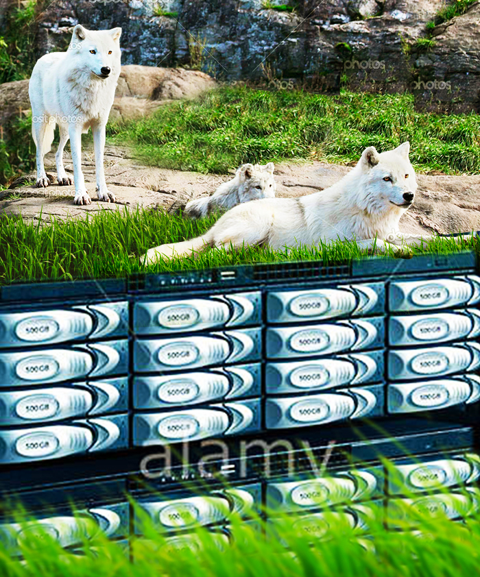 Photoshop Design by iMAGICations for VM Sistemi S.p.A. | Design #6653226