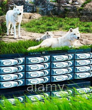 Photoshop Design by iMAGICations for VM Sistemi S.p.A. | Design: #6653226