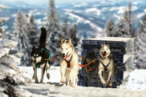 Photoshop Design by iMAGICations for VM Sistemi S.p.A. | Design: #6727216