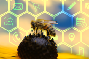 Photoshop Design by iMAGICations for VM Sistemi S.p.A. | Design: #6751466