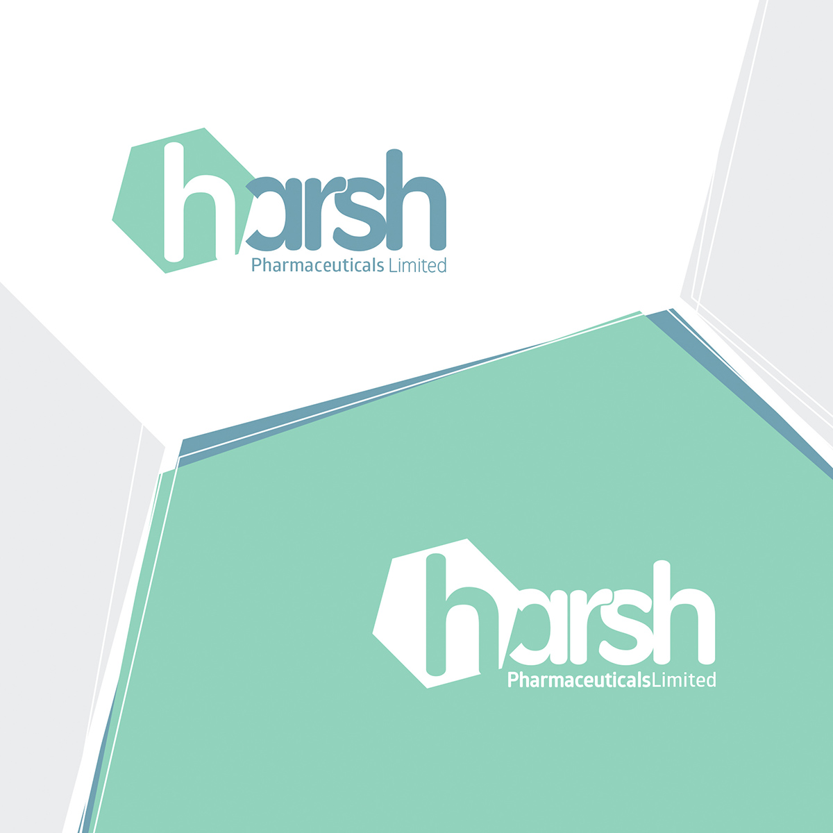Logo Design by Rafa Salcedo for this project | Design #6553411