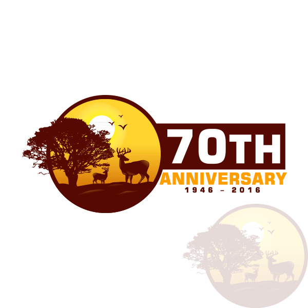 Logo Design by ApurbaMan for Glen''s Army Navy Store, Inc | Design #6631274