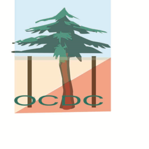 Logo Design by Muhammad Nouman