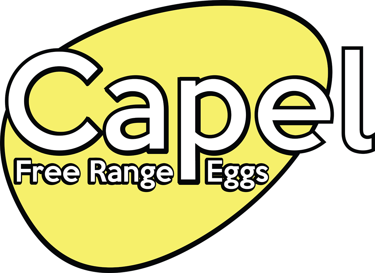 Logo-Design von MGDesigns für dieses Projekt | Design #6615542