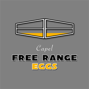 Logo Design by virtune44