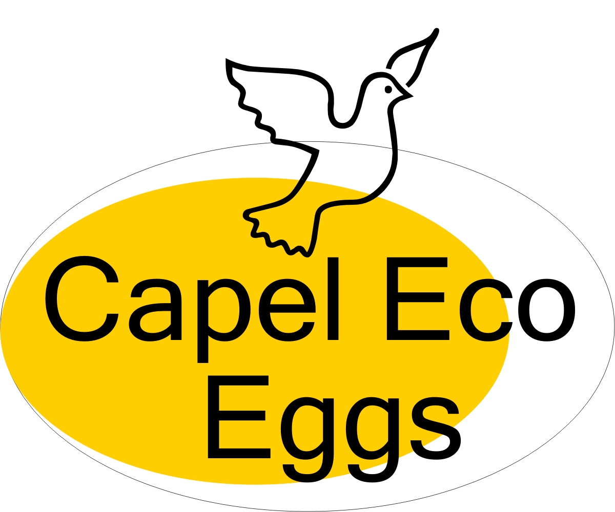 Logo Design by samog for this project | Design #6614961