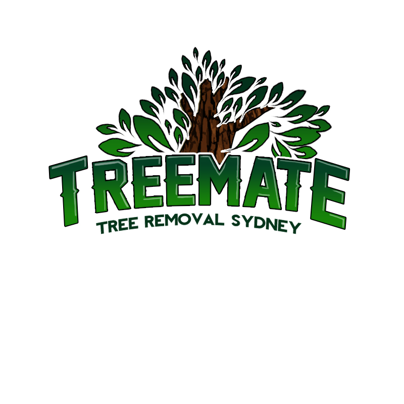 Logo Design by COLLECTIV SERIES for this project | Design #6533345