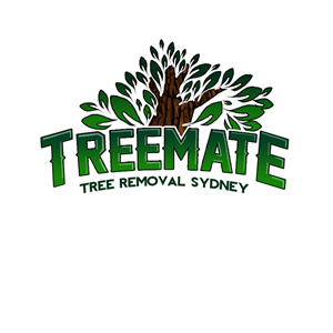 Logo Design by COLLECTIV SERIES
